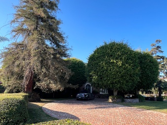 Enlarge photo 6