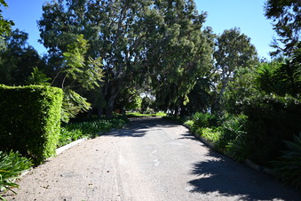 Enlarge photo 3