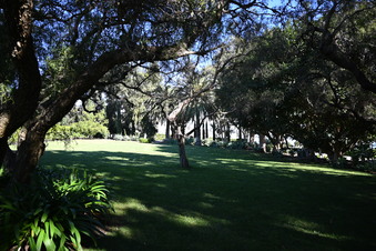 Enlarge photo 5