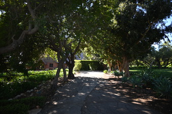 Enlarge photo 30