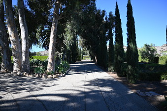 Enlarge photo 31