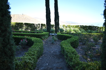 Enlarge photo 32