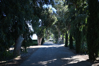 Enlarge photo 33