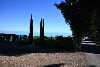 Enlarge photo 35