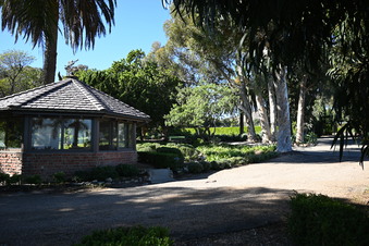 Enlarge photo 37