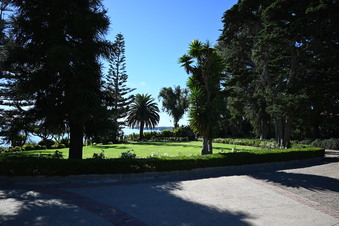 Enlarge photo 41