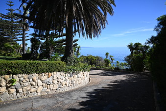Enlarge photo 44