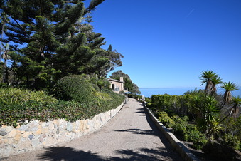 Enlarge photo 45