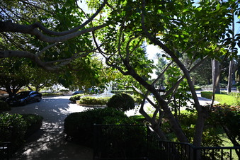 Enlarge photo 49