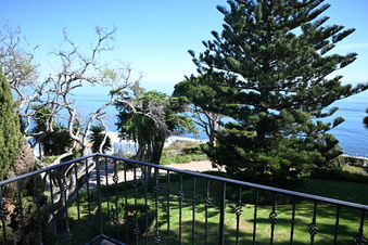 Enlarge photo 71