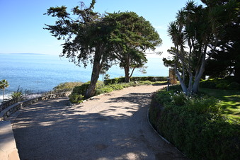 Enlarge photo 92