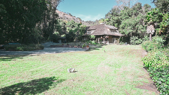 Enlarge photo 10