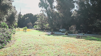 Enlarge photo 16