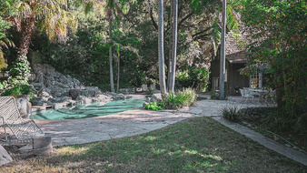 Enlarge photo 41