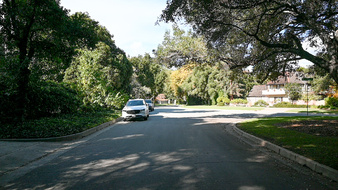Enlarge photo 56