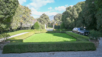 Enlarge photo 3