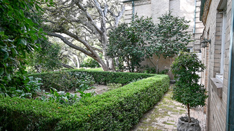 Enlarge photo 13