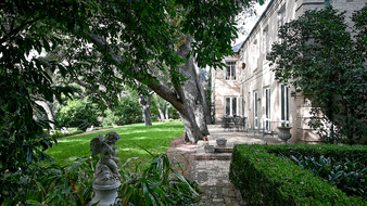 Enlarge photo 15