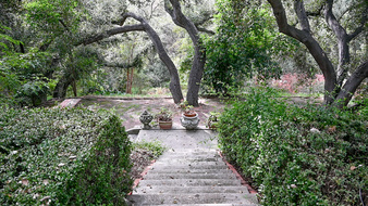 Enlarge photo 28