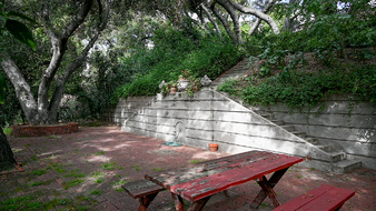 Enlarge photo 29