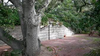 Enlarge photo 30