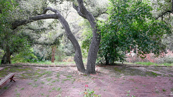 Enlarge photo 32