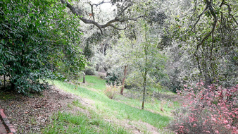 Enlarge photo 34