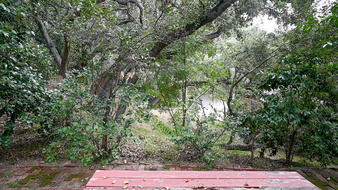 Enlarge photo 35