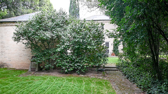 Enlarge photo 38