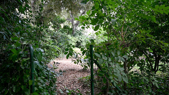Enlarge photo 39