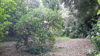 Enlarge photo 40