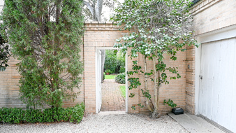 Enlarge photo 41