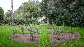 Enlarge photo 44