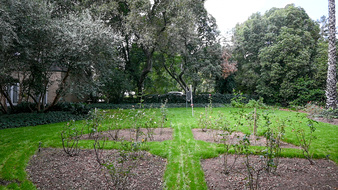 Enlarge photo 46