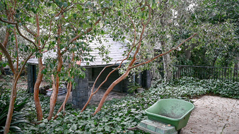 Enlarge photo 47