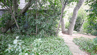 Enlarge photo 52