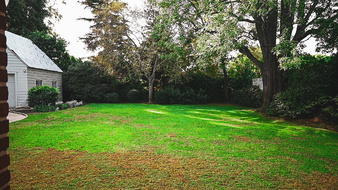 Enlarge photo 17