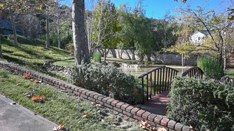 Enlarge photo 19