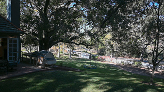Enlarge photo 37