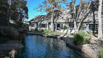 Enlarge photo 82