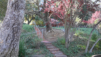 Enlarge photo 81