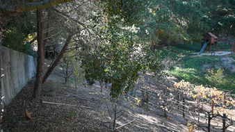 Enlarge photo 87