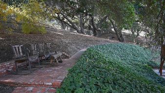 Enlarge photo 90