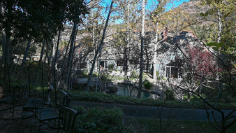 Enlarge photo 91