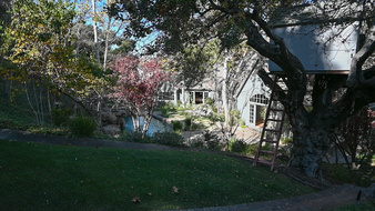 Enlarge photo 93