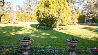 Enlarge photo 6