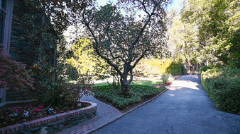 Enlarge photo 31