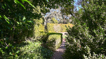 Enlarge photo 33