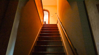 Enlarge photo 77