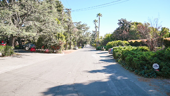 Enlarge photo 79